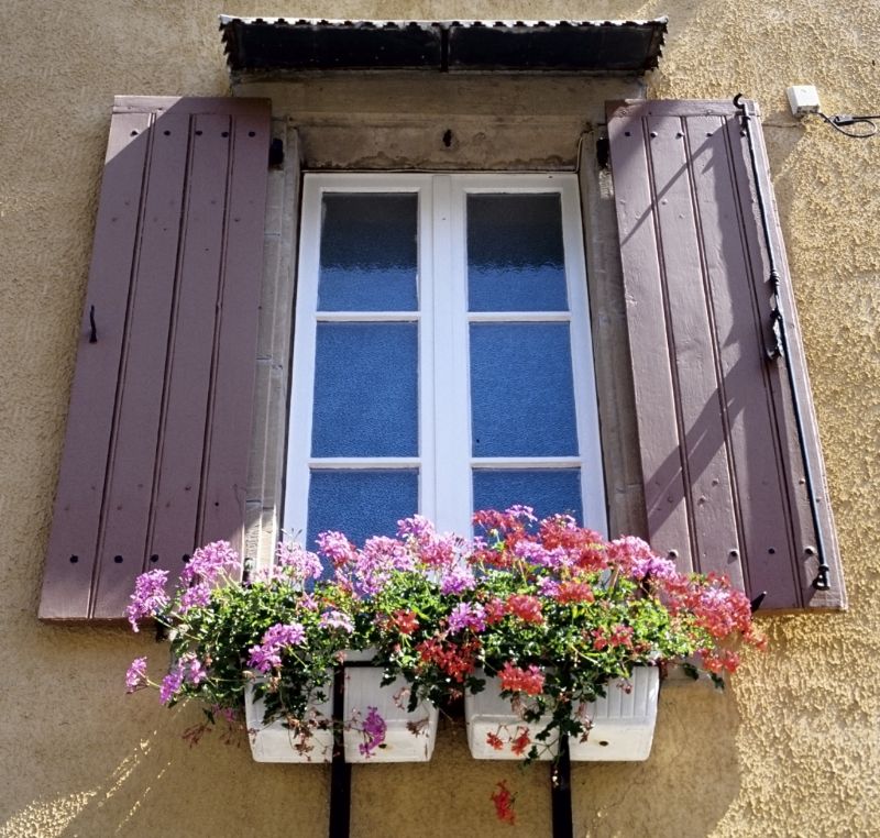 Shutter Handle Repair in Littleton, CO