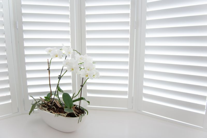 Shutters Replacement in Alpharetta, GA