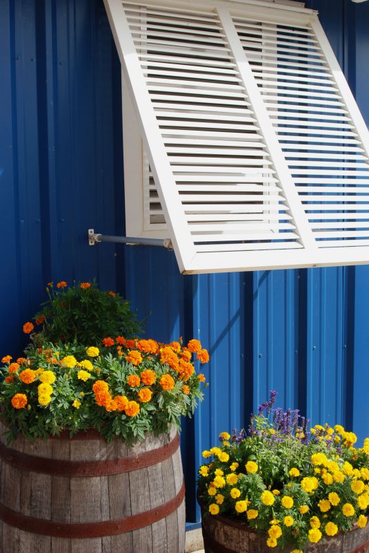 Window Shutters Replacement in Alpharetta, GA